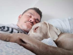 Man getting sleep with his dog in bed