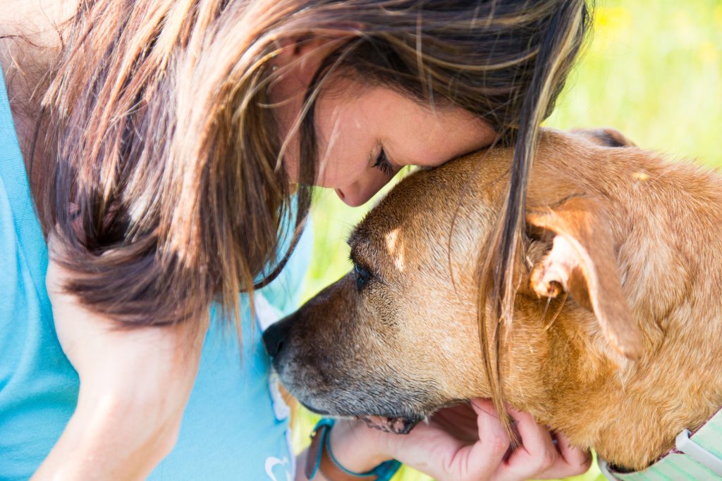 pet friendly drug and alcohol rehab
